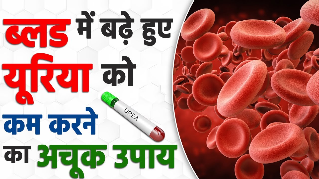 ब्लड-यूरिया-घटाने-की-आयुर्वेदिक-दवा